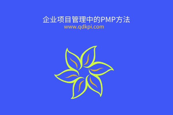 企业项目管理中的PMP方法